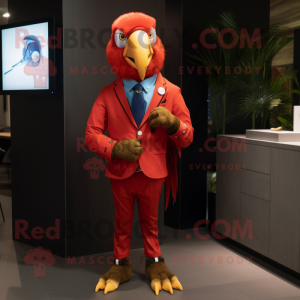 Röd Macaw maskot kostym...