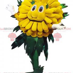 Schattige gele paardebloem mascotte. Paardebloem kostuum. -