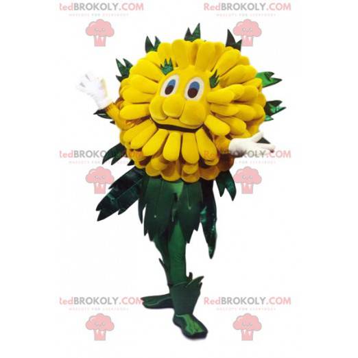 Schattige gele paardebloem mascotte. Paardebloem kostuum. -