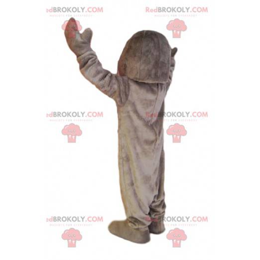 Grijze zeehond mascotte. Seal kostuum - Redbrokoly.com