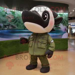 Olive Killer Whale maskot...