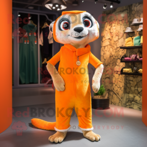 Orange Meerkat maskot...