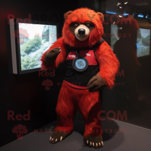 Röd sengångare Björn maskot...