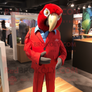 Röd Macaw maskot kostym...