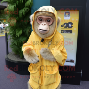 Citrongul Capuchin Apa...