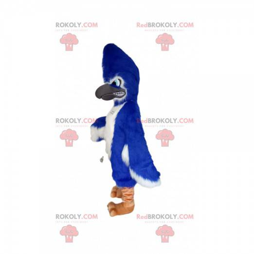 Mascotte vlammende blauwe adelaar. Adelaar kostuum -