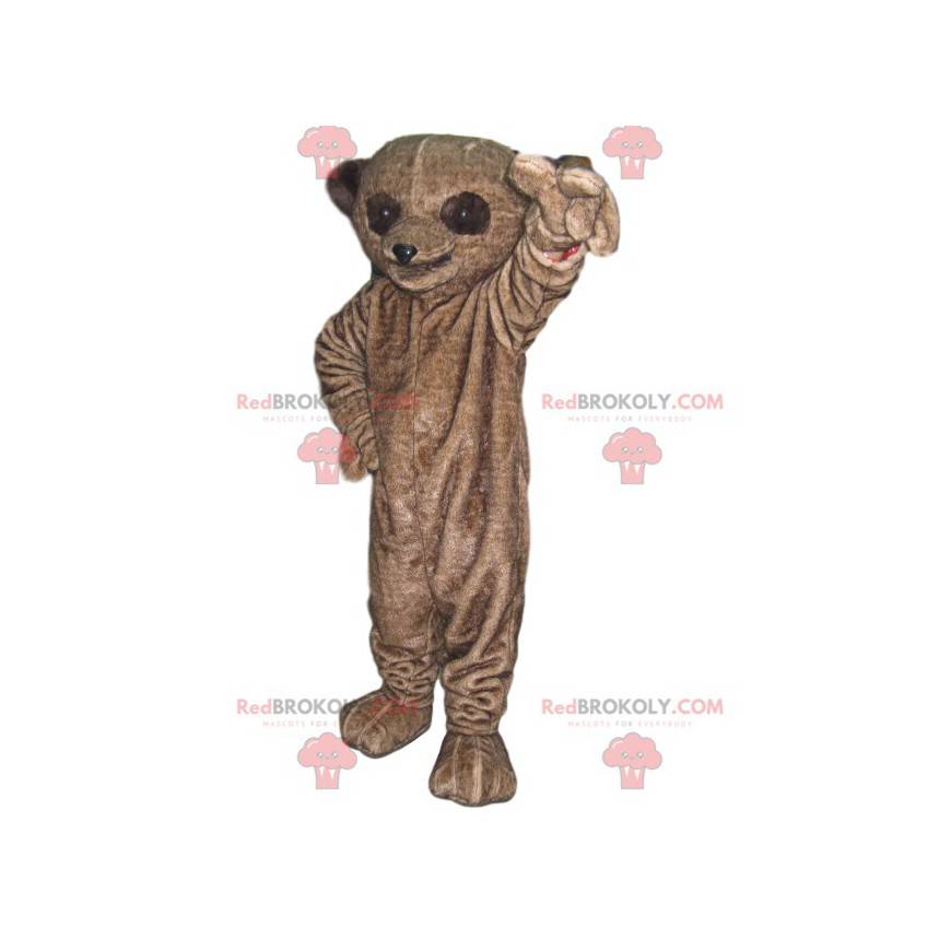 Mascotte de lémurien marron avec de grands yeux - Redbrokoly.com