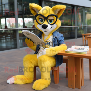 Yellow Dingo mascot costume character dressed with a Boyfriend Jeans and Reading glasses