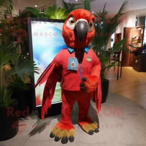 Röd Macaw maskot kostym...