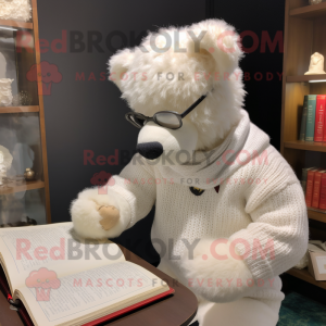 White Teddy Bear mascot costume character dressed with a Sweater and Reading glasses