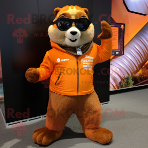 Orange Marmot maskot kostym...