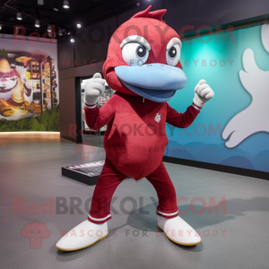 Maroon Dolphin maskot...