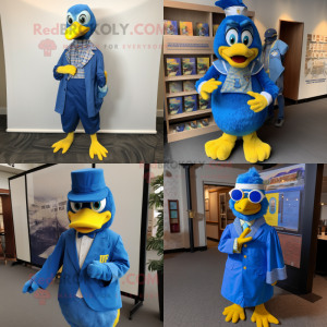 Blue Hens maskot kostume...