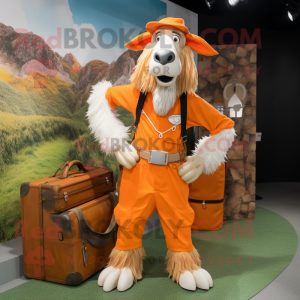 Oransje Boergeit maskot...