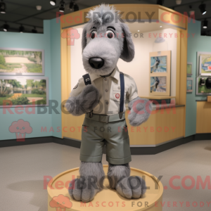 Grå hundemaskotdraktfigur...