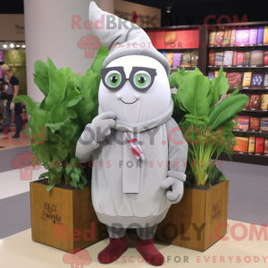 Grijze biet mascottekostuum...