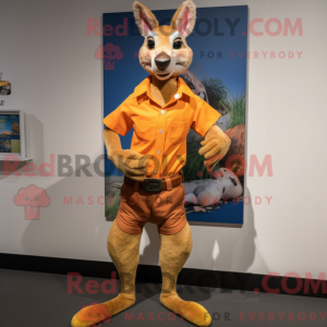 Kenguru maskot drakt...
