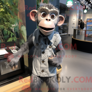 Gray Monkey mascot costume...