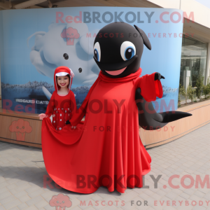 Red Killer Whale mascot...