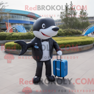 Blue Killer Whale mascot...