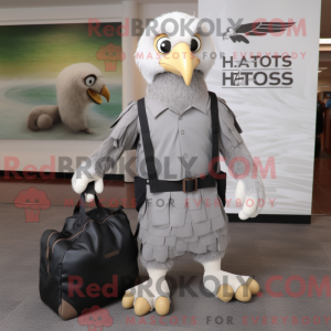 Gray Haast s...