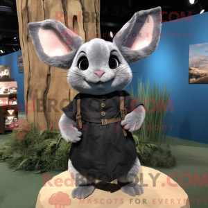 Zwarte Chinchilla...