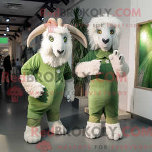 Oliven Angora...