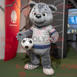 Grey Soccer Goal...