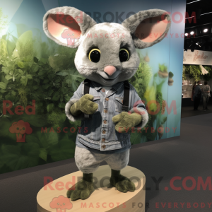 Olive Chinchilla...