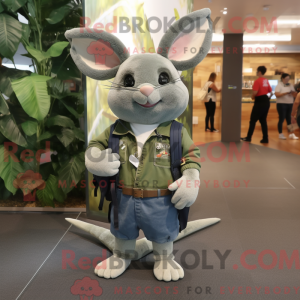 Olive Chinchilla...