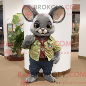 Maskotka Oliven Chinchilla...