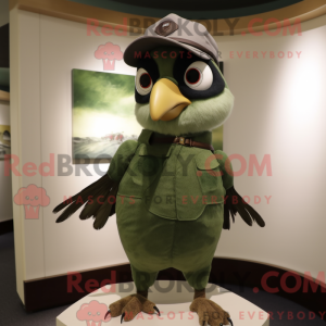 Olive Falcon mascotte...