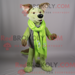 Lime Green Dingo...