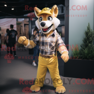Gull Dingo maskot...