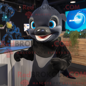 Black Dolphin mascot...