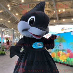 Black Dolphin mascot...
