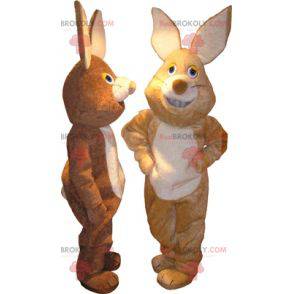 2 mascotas de conejo, una marrón y otra beige - Redbrokoly.com