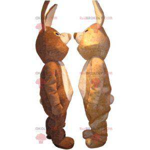 2 mascotas de conejo, una marrón y otra beige - Redbrokoly.com
