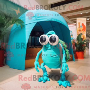 Turquoise Hermit...