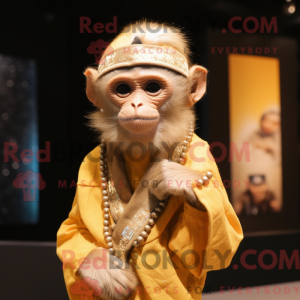 Gull Capuchin Monkey...