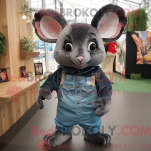 Black Chinchilla mascot...