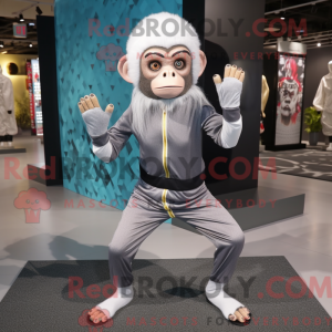 Silver Capuchin Monkey...