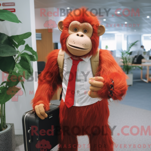 Red Orangutan mascot...