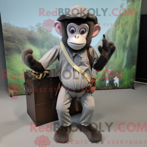 Grå Capuchin Monkey...
