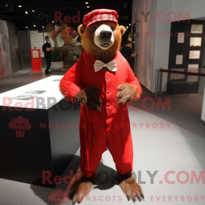 Red Sloth Bear mascot...