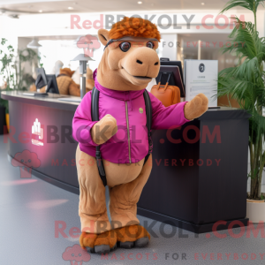 Magenta Camel maskot...