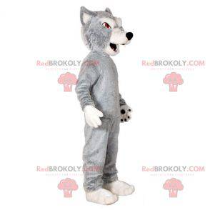 Mascotte grijze en witte wolf. Wolf hond mascotte -