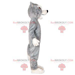 Mascotte grijze en witte wolf. Wolf hond mascotte -