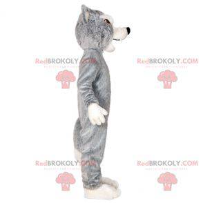 Mascotte grijze en witte wolf. Wolf hond mascotte -