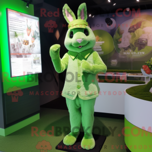 Lime Green Wild Rabbit...